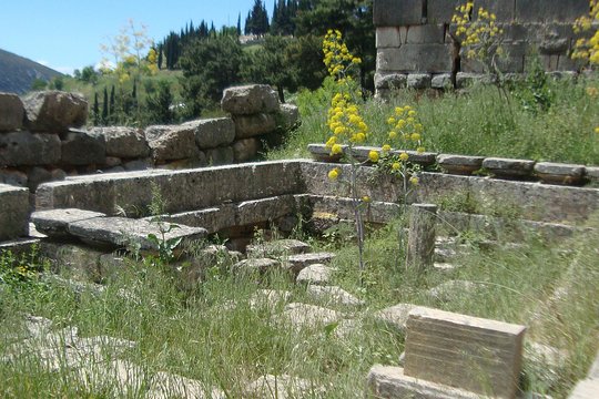 Tour image 7